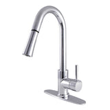 Gourmetier Concord Single Handle Pull Down Kitchen Faucet - BUILDMYPLACE