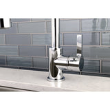 Gourmetier Continental Single Handle Pre Rinse Kitchen Faucet - BUILDMYPLACE