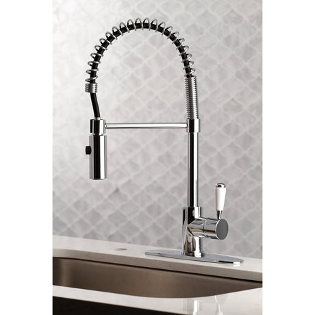 Gourmetier Paris Single Handle Pre - Rinse Kitchen Faucet - BUILDMYPLACE