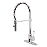 Gourmetier Paris Single Handle Pre - Rinse Kitchen Faucet - BUILDMYPLACE