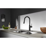 Gourmetier Single Handle Pull Down Kitchen Faucet - BUILDMYPLACE