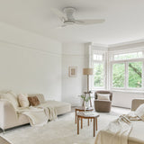 Leon 44 inch 3 - Blade Ceiling Fan with Remote Control - LEDMyPlace