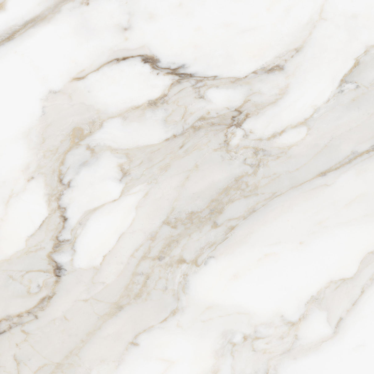24 x 24 in Majesto Calacatta Oro Honed Rectified Colorsync Porcelain Tile