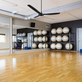 OBERON 56 inch 3 - Blade No Light Ceiling Fan with Wall Control - LEDMyPlace