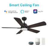 OLINDA 52 inch 5 - Blade Smart Ceiling Fan with LED Light & Remote - LEDMyPlace