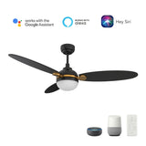 PEARLA 52 inch 3 - Blade Smart Ceiling Fan with LED Light & Remote - LEDMyPlace