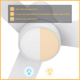 PORTER 44 inch 3 - Blade Flush Mount Smart Ceiling Fan with LED Light & Remote - LEDMyPlace