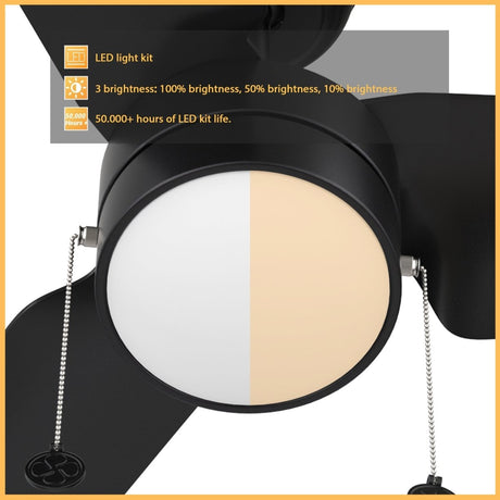 REXTON 52 inch 3 - Blade Ceiling Fan with Pull Chain - LEDMyPlace