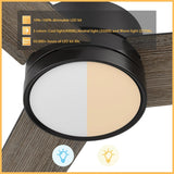 SANTANA 52 inch 3 - Blade Ceiling Fan with LED Light & Remote - LEDMyPlace