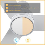 SANTANA 52 inch 3 - Blade Ceiling Fan with LED Light & Wall Control - LEDMyPlace