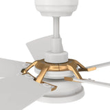 SAVILI 52 inch 5 - Blade Smart Ceiling Fan with LED Light & Remote Control - LEDMyPlace