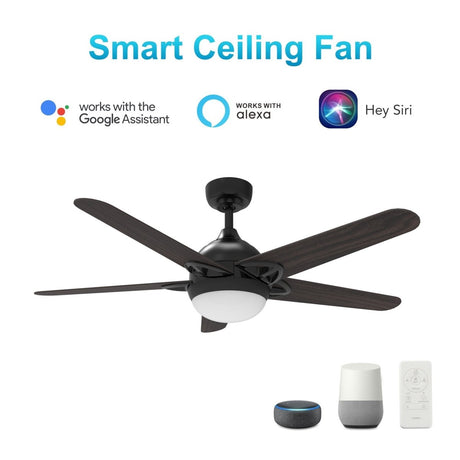 Solasta 52 Inch 5 - Blade Best Smart Ceiling Fan With Led Light Kit & Remote - Black/Dark Wood - LEDMyPlace