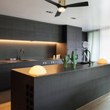 SPEZIA 52 inch 3 - Blade Flush Mount Smart Ceiling Fan with LED Light & Remote - LEDMyPlace