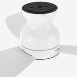 STANLEY 44 inch 3 - Blade Flush Mount No Light Ceiling Fan with Remote - LEDMyPlace