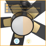 STOCKTON 52 inch 5 - Blade Smart Ceiling Fan with LED Light & Remote - LEDMyPlace