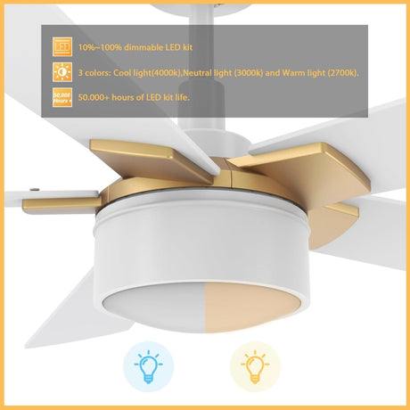 STOCKTON 52 inch 5 - Blade Smart Ceiling Fan with LED Light & Remote - LEDMyPlace