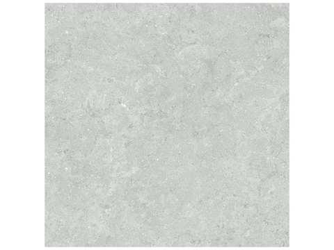 20 x 20 in Coliseo Platinum Matte Pressed Glazed Porcelain Tile