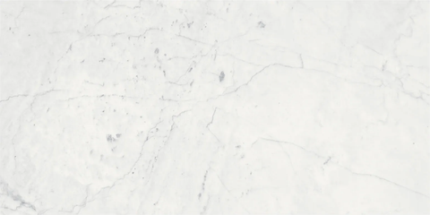 1/2 x 12 in Eterna Bianco Honed Marble Deco-Bar