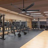 VINKA 60 inch 6 - Blade No Light Ceiling Fan with Remote - LEDMyPlace