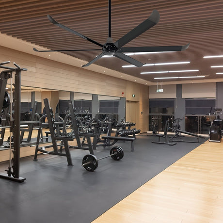 VINKA 60 inch 6 - Blade No Light Ceiling Fan with Remote - LEDMyPlace