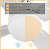 ZELDA 52 inch 4 - Blade Ceiling Fan with LED Light & Remote - LEDMyPlace