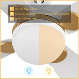 ZELDA 52 inch 4 - Blade Ceiling Fan with LED Light & Remote - LEDMyPlace