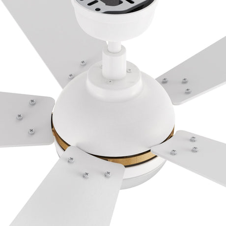 ZELDA 52 inch 5 - Blade Ceiling Fan with LED Light & Remote - LEDMyPlace