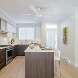 ZELDA 52 inch 5 - Blade Ceiling Fan with LED Light & Remote - LEDMyPlace