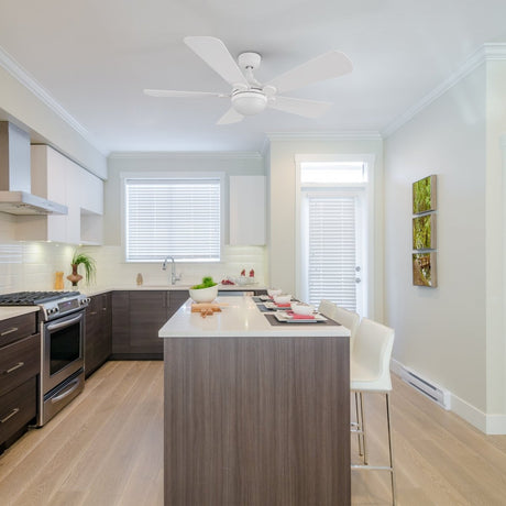 ZELDA 52 inch 5 - Blade Ceiling Fan with LED Light & Remote - LEDMyPlace