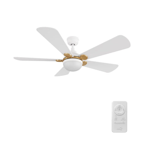 ZELDA 52 inch 5 - Blade Ceiling Fan with LED Light & Remote - LEDMyPlace