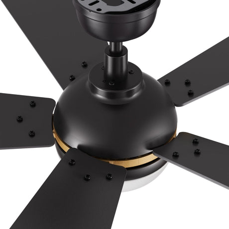 ZELDA 52 inch 5 - Blade Ceiling Fan with LED Light & Remote - LEDMyPlace