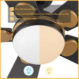 ZELDA 52 inch 5 - Blade Ceiling Fan with LED Light & Remote - LEDMyPlace