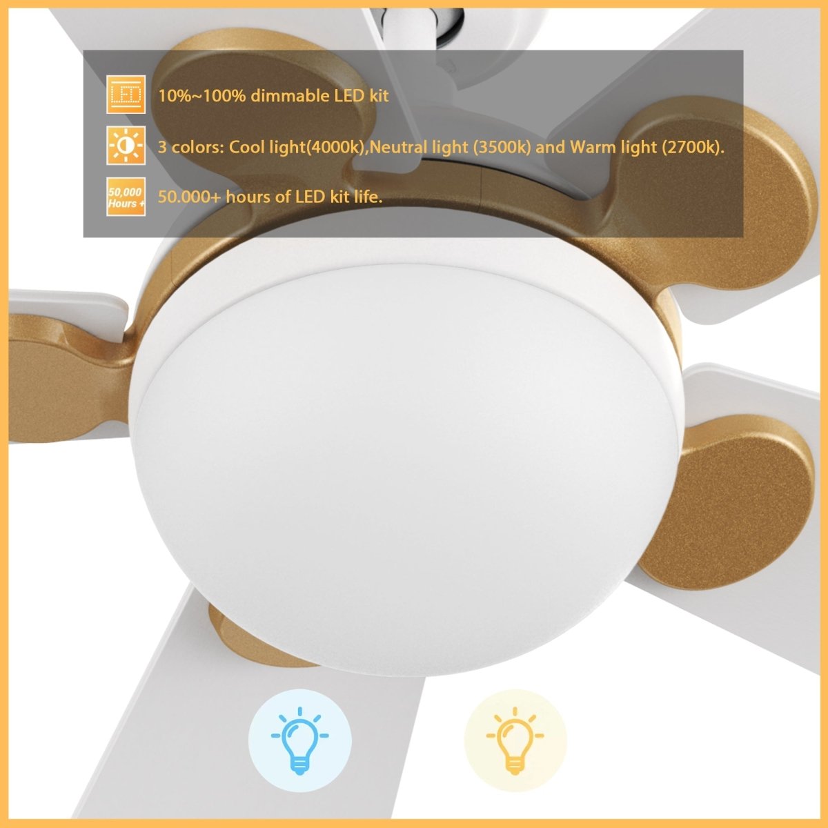 ZELDA 52 inch 5 - Blade Ceiling Fan with LED Light & Remote - LEDMyPlace