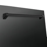 ZLINE 24" Monument Dishwasher Panel in Black Stainless Steel with Traditional Handle (DPMT-BS-24)