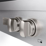 ZLINE 30 in. Paramount Gas Rangetop with 4 Brass Burners and Porcelain Cooktop in Satin Stainless Steel (SRTS-BR-30)