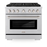 ZLINE 36 in. 5.2 cu. ft. Paramount Dual Fuel Range with Gas Cooktop and Electric Convection Oven in Stainless Steel with 6 Brass Burners (SDR-BR-36)