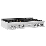 ZLINE 48 in. Legacy Gas Rangetop with 6 Brass Burners and Porcelain Cooktop in Stainless Steel (RT-BR-48)