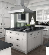 ZLINE 30 in. Designer Series Satin Stainless Steel Island Range Hood (KB2i-4SSXS-30)