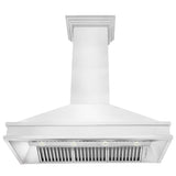 ZLINE 48" Designer Series Wall Mount Range Hood in Fingerprint Resistant Stainless Steel (8656S-48)