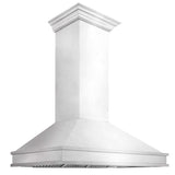 ZLINE 48" Designer Series Wall Mount Range Hood in Fingerprint Resistant Stainless Steel (8656S-48)