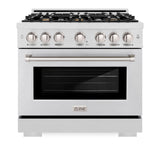 ZLINE 36 in. 5.2 cu. ft. Select Gas Range with Convection Gas Oven in Satin Stainless Steel with 6 Brass Burners (HGRS-BR-36)