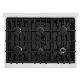 ZLINE 36 in. 5.2 cu. ft. Select Gas Range with Convection Gas Oven in Satin Stainless Steel with 6 Brass Burners (HGRS-BR-36)