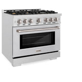 ZLINE 36 in. 5.2 cu. ft. Select Dual Fuel Range with Gas Cooktop and Electric Convection Oven in Satin Stainless Steel with 6 Brass Burners (HDRS-BR-36)