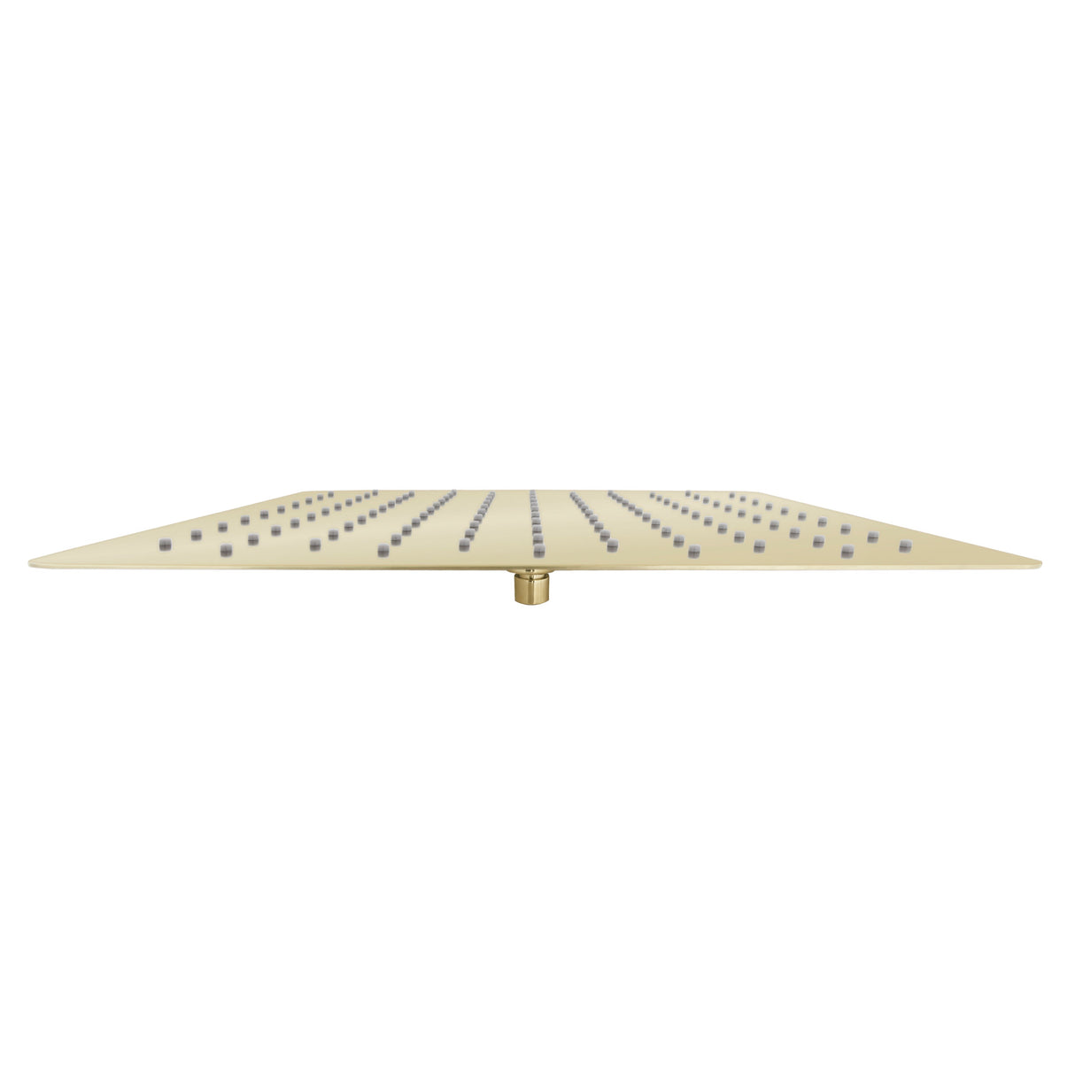 ZLINE 16" Bliss Shower Head in Polished Gold (BLS-H16-PG)