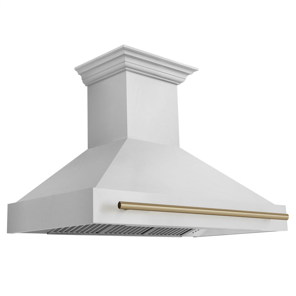 ZLINE Autograph Edition 48" Stainless Steel Range Hood with Stainless Steel Shell and Champagne Bronze Handle (8654STZ-48-CB)