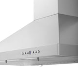ZLINE 30 in. Kitchen Package with Stainless Steel Gas Range, Range Hood, Microwave Drawer and Tall Tub Dishwasher (4KP-RGRH30-MWDWV)