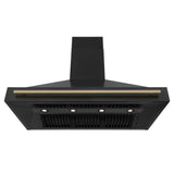 ZLINE 48" Black Stainless Steel Range Hood with Polished Gold Handle (BS655Z-48-G)