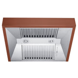 ZLINE 30 in. Designer Series Convertible Vent Under Cabinet Range Hood (8685C-30)