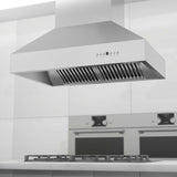 ZLINE 42 Inch Ducted Island Mount Range Hood in Stainless Steel (697i)