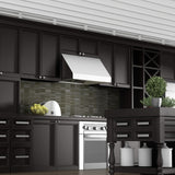 ZLINE 42 Inch Under Cabinet Range Hood in Stainless Steel (685)